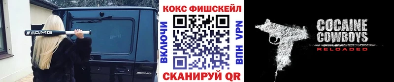 где купить наркотик  МЕГА как зайти  Cocaine Fish Scale  Азов 