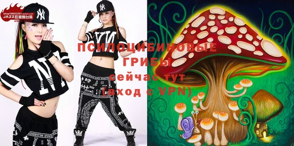 стаф Абаза