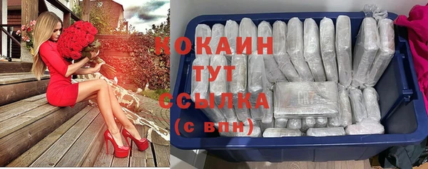 стаф Абаза