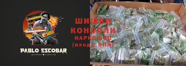 стаф Абаза